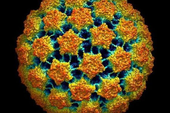 Métodos para diagnosticar o virus do papiloma humano